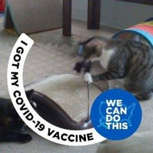 Meet your Posher, Fran